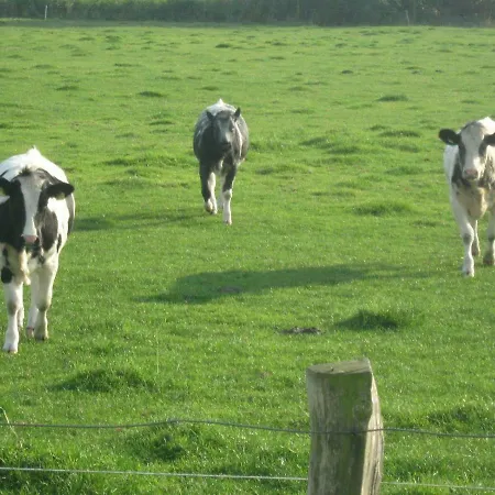 Deichhof-2 Dahme (Schleswig-Holstein)